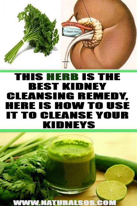How to clean kidney in natural way
