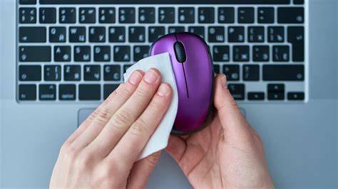 How to clean mouse and keyboard.  The screen is sharp and bright.  Mouse and keybo...