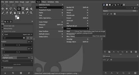 How to clone in gimp
