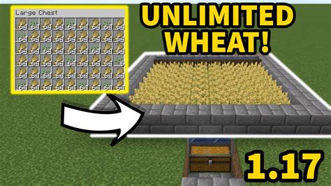 How to collect wheat in minecraft