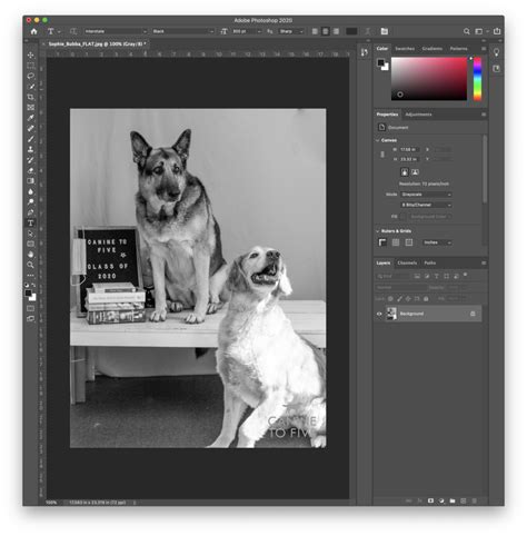 How to color grayscale in photoshop