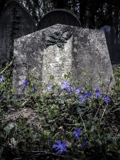 How to commit a body to the grave.  Disposal Those involve placing a body i...