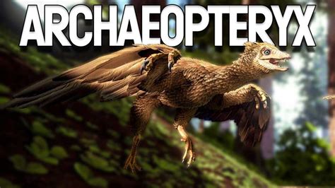 How to control archeopteryx? : r/ARK - Reddit