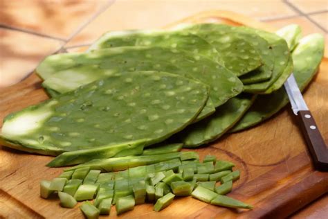 Lay the nopal flat on a cutting board, cut off its borders with a paring or sharp knife, then cut the pads into 1/6- to 1/4-inch strips. Place the strips into a saucepan with water, bring the water to a boil, then remove the strips. Put the strips into a resealable bag or container, then place them into the freezer for up to a year.. 