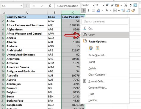 How to copy entire column in excel