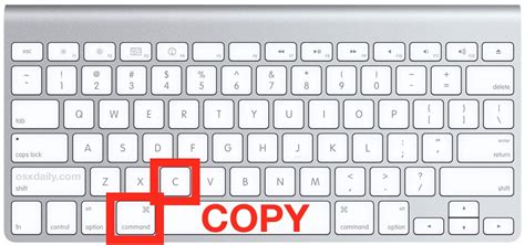 How to copy text in mac