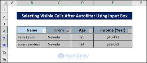 How to copy visible cells after filter in VB