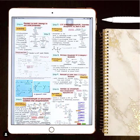 How to create goodlooking notes on the iPad GoodNotes Blog Notes