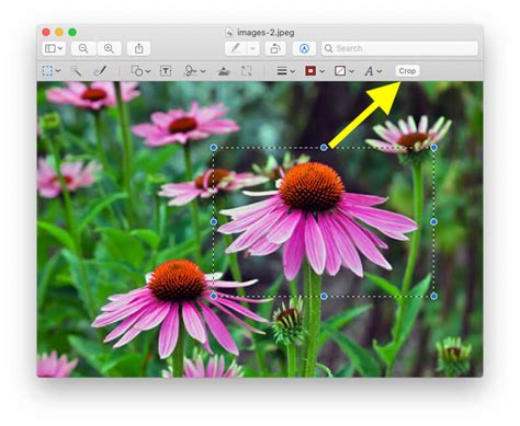 How to crop a photo on mac. A. You can crop photos, graphics and PDF files right in Preview, the Mac’s built-in image-editing and viewer program. To crop a photo or graphic open on your screen, you must first select the ... 
