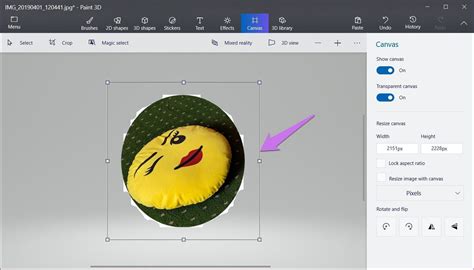 How to crop circular image in paint