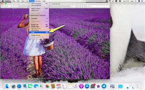 How to crop in preview