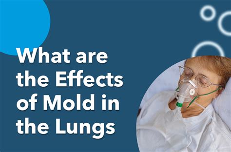 How to cure mold in lungs