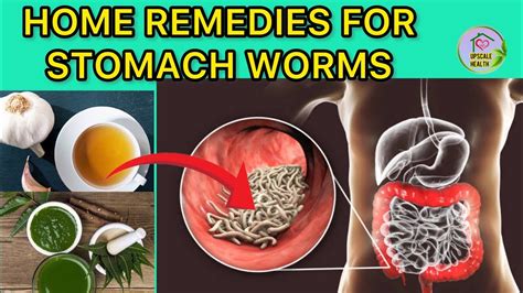 How to cure worms in stomach