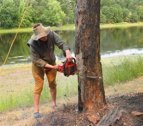 How to cut a tree. 0:00 / 2:33. Learn how to cut a tree with a chainsaw safely. We'll walk you through the appropriate steps of tree felling with proper tree cutting tools. For additional a... 