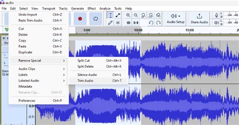 How to cut audio in video