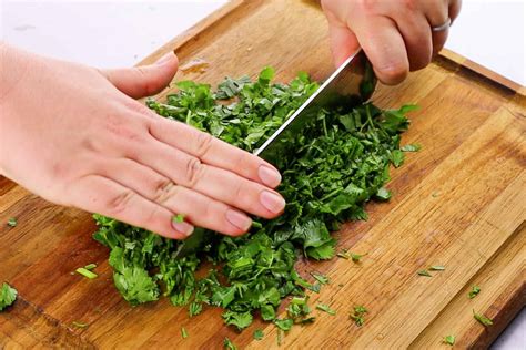 How to cut cilantro. You can harvest the entire cilantro plant in one of two ways. 1. Pulling method. Pull the entire plant from the ground, then cut away the roots. This is a final method of harvesting cilantro, as the plant won't regrow. 2. Cutting method. Cut the plant an inch from the ground, leaving the roots in the soil. 