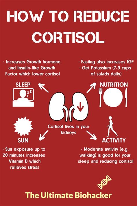 How to decrease cortisol overnight