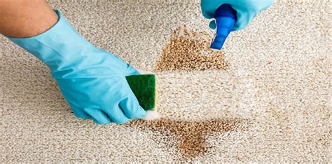 How to deep clean carpet. Carpet cleaning is an important task that every homeowner must undertake regularly to maintain a healthy living environment. There are two options available when it comes to carpet... 
