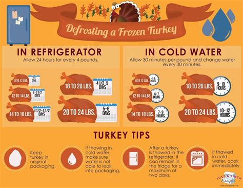 How to defrost a bird