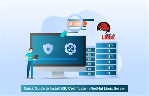 How to deploy ssl certificate in linux