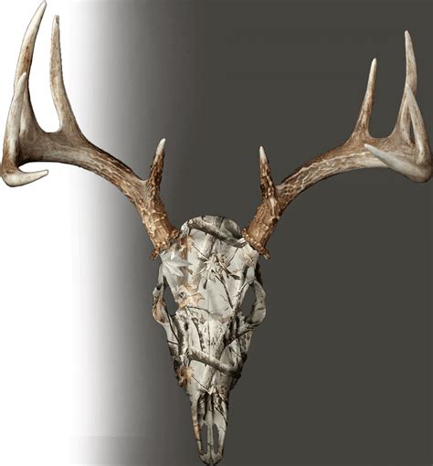 We found a dead head deer skull and wanted to try something new. Let me know what you think.. 
