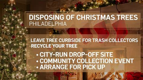 How to dispose of your Christmas tree in Saginaw