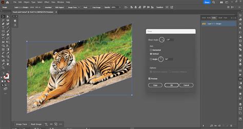 How to distort image in illustrator