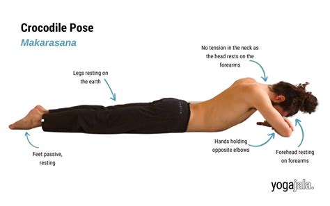 How to do Crocodile Pose Techniques Benefits Variations