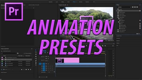 How to do animation in premiere pro