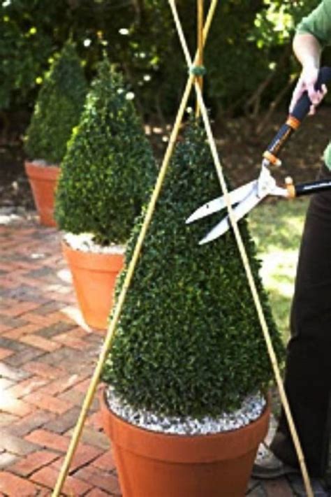 How to do topiary a beginners guide. - John deere l120 v twin 20hp manual.