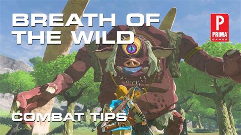 My Breath Of The Wild series was one of the most fun 