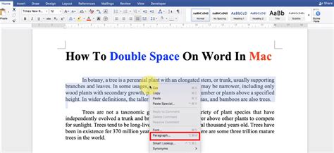 How to double space in mac word