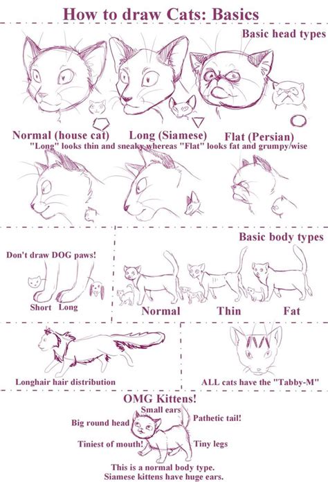 How to draw Cats by StockHeil on DeviantArt Cat Drawing Tutorial