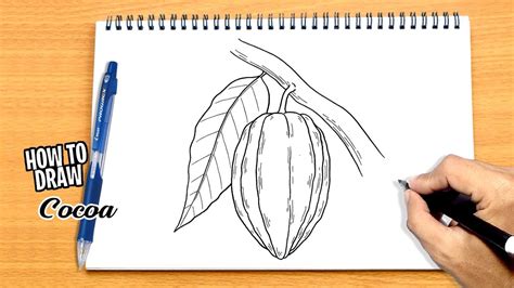 How to draw Cocoa YouTube