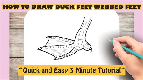 How to draw Duck Feet