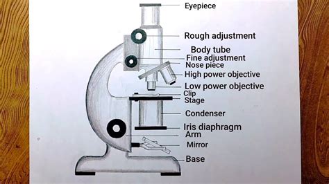 How to draw Microscope diagram for beginners step by step YouTube