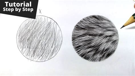 How to draw Realistic Fur Animal Fur Drawing Beginner Tutorial