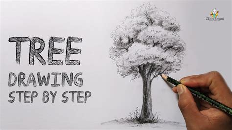 How to draw Twisted Tree Easy Tree Pencil Sketch and Shading Tree