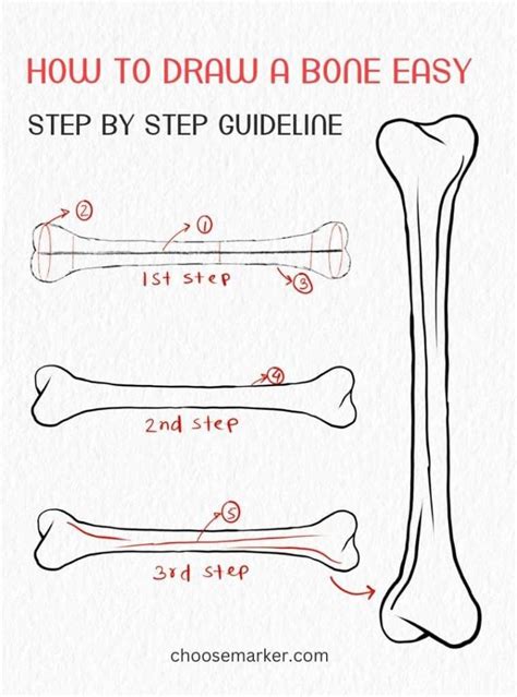 How to draw a Bone Step by Step Bone Drawing Lesson YouTube
