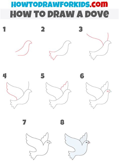 How to draw a Dove Step by Step Dove Drawing Lesson