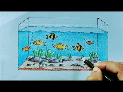 How to draw a Fish Aquarium easy and simple, Fish Tank drawing YouTube