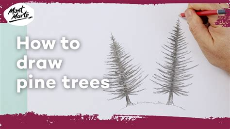 How to draw a Pine Tree step by step YouTube