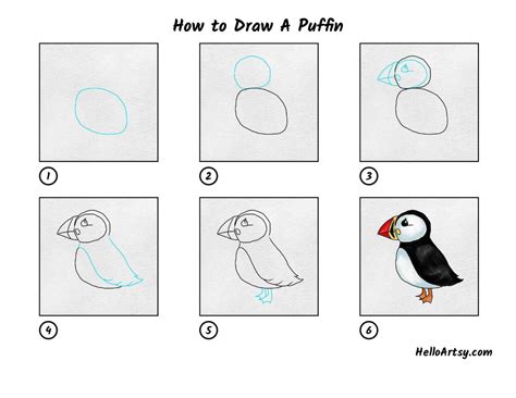 How to draw a Puffin step by step easy II Puffin Drawing II artjanag