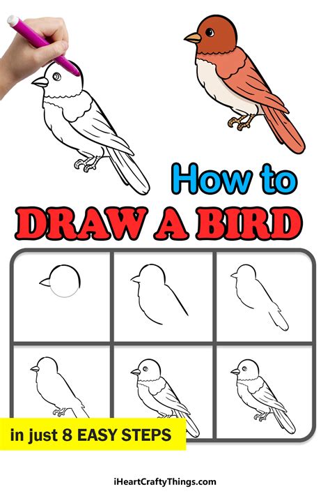 How to draw a bird. Time needed: 1 hour. How to Draw a Cute Bird Step by Step. Make guidelines. Start the top of the body. Finish the bottom of the body. Draw a tail. Start a scarf (with curved lines!) Add wing and scarf ends. Start the rim of the hat. 