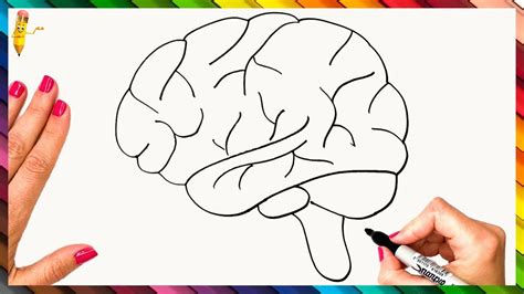How to draw a brain. Things To Know About How to draw a brain. 