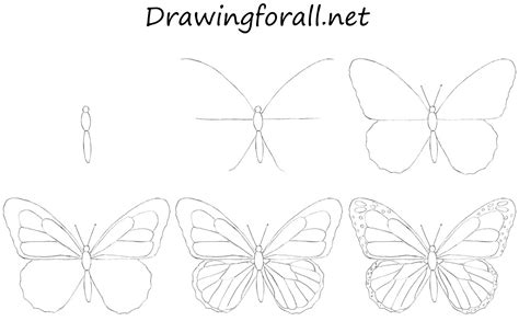 How to draw a butterfly. Things To Know About How to draw a butterfly. 