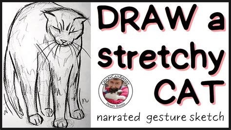 How to draw a cat (stretching) Tutorial YouTube