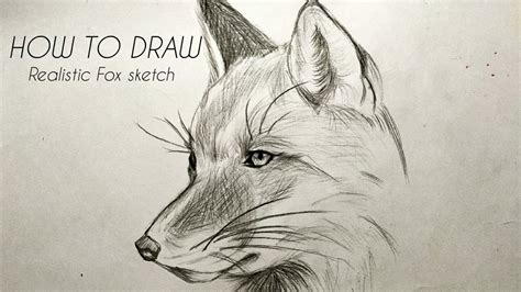 How to draw a realistic Fox animal face sketch Tutorial YouTube