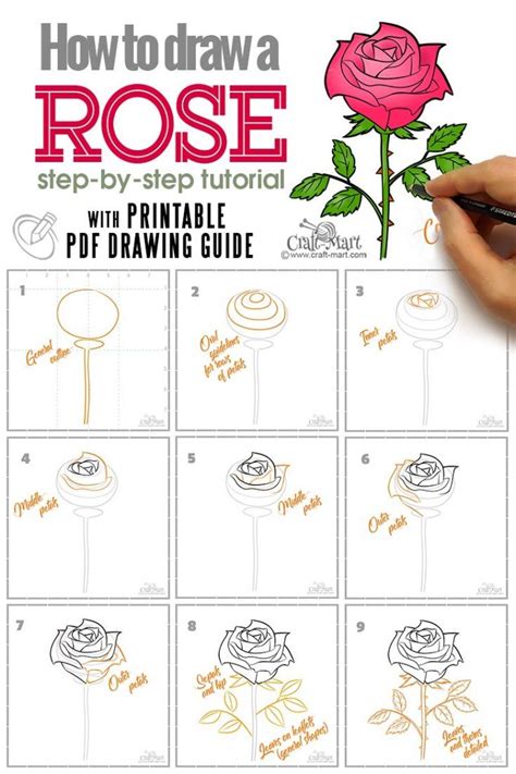 How to draw a rose step by step. Things To Know About How to draw a rose step by step. 