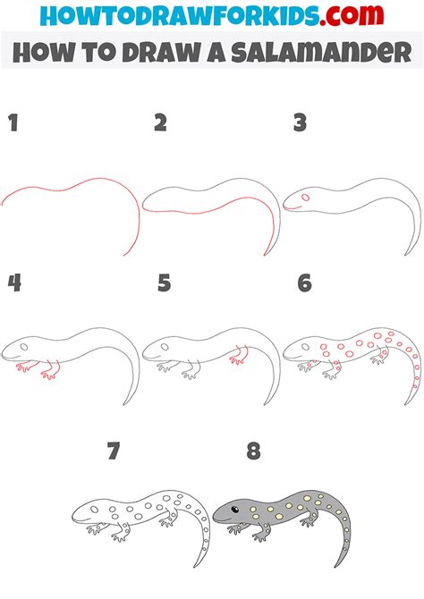 How to draw a salamander Step by step Drawing tutorials